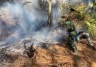 Babinsa Sigap Padamkan Api di Lereng Sumbing, Sekat Bakar Jadi Andalan